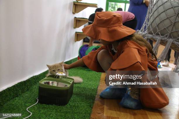 Palestinian girl plays with a cat in the first cat cafe 'Meow Cat Café' on August 17, 2023 in Gaza City, Gaza. Meow Cat Cafe's guests will be able to...