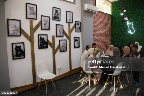 Group of Palestinians sit in the the first cat cafe 'Meow Cat Café' on August 17, 2023 in Gaza City, Gaza. Meow Cat Cafe's guests will be able to...