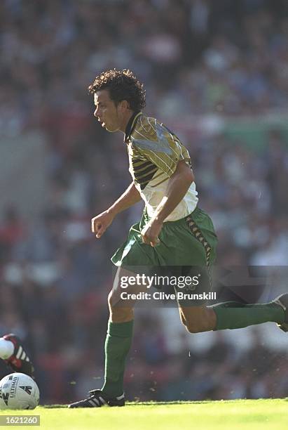 Mark Fish Back 4,476 Mark Fish Photos & High Res Pictures - Getty Images