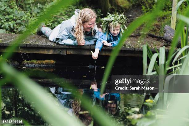 mum and son pond dipping - plant part stock pictures, royalty-free photos & images