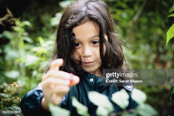 little boy holds up a berry he has picked outside - plant part stock pictures, royalty-free photos & images