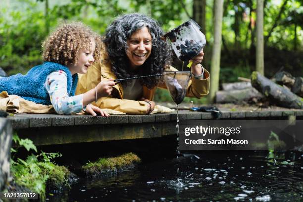 mum and daughter pond dipping at forest school - renacuajo fotografías e imágenes de stock