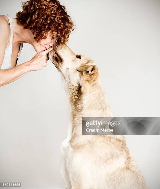 stand by me - dog kiss stock pictures, royalty-free photos & images