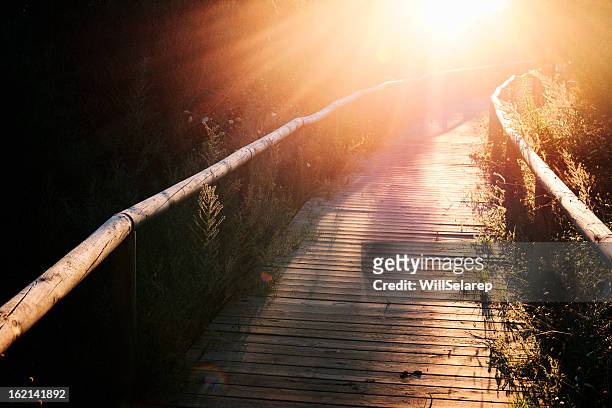 wooden footbridge at sunset in andalusia, southern spain. - season finale stockfoto's en -beelden