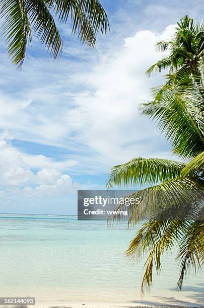 perfect beach and lagoon  moorea, tahiti - moorea stock pictures, royalty-free photos & images