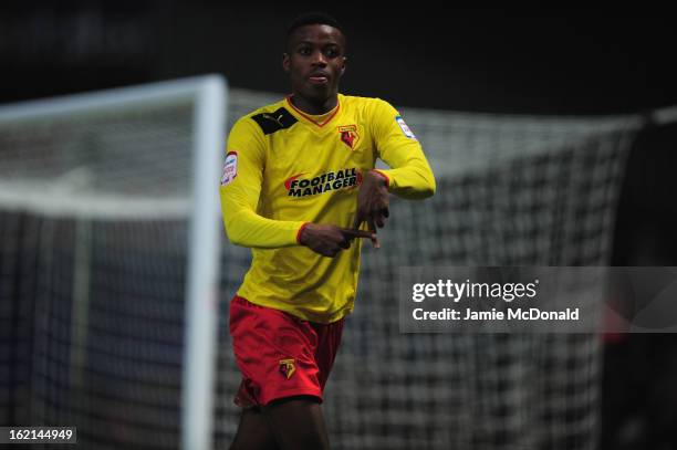 Nathaniel Chalobah of Watford celebrates his goal during the npower Championship match between Ipswich Town and Watford at Portman Road on February...