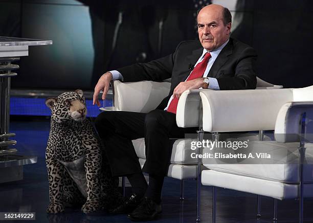 Pier Luigi Bersani, leader of the Italian centre-left Democratic Party poses with a jaguar stuffed animal during 'Porta A Porta' TV Show on February...