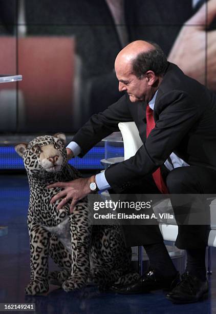 Pier Luigi Bersani, leader of the Italian centre-left Democratic Party poses with a jaguar stuffed animal during 'Porta A Porta' TV Show on February...