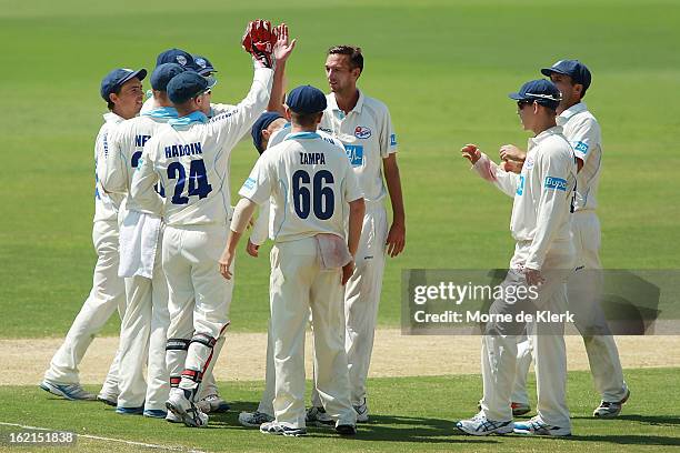 Trent Copeland of the Blues celebrates with team mates after he got a wicket during day two of the Sheffield Shield match between the South...