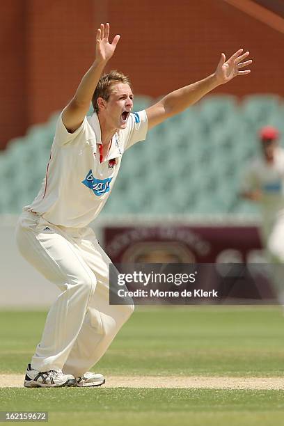 Joe Mennie of the Redbacks appeals for a wicket during day two of the Sheffield Shield match between the South Australian Redbacks and the New South...