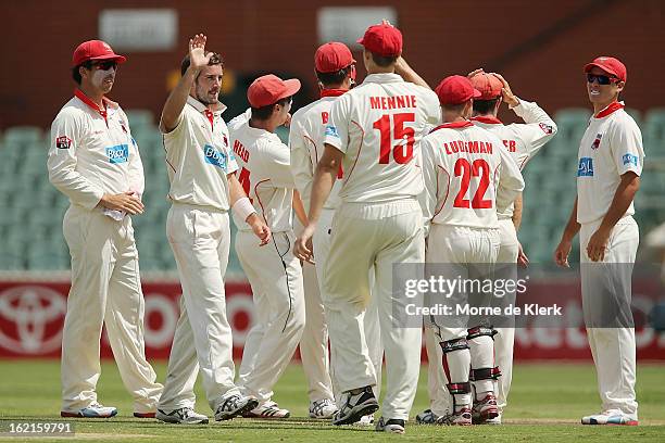 Chadd Sayers is congratulated by teammates after he got a wicket during day two of the Sheffield Shield match between the South Australian Redbacks...