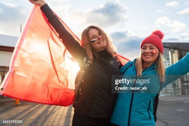 fans celebration. - new zealand stadium stock pictures, royalty-free photos & images