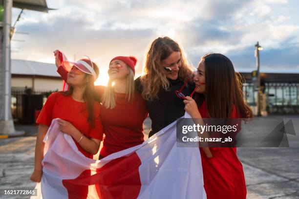 happiness is having a winning smile, soccer fans celebrate success. - new zealand stadium stock pictures, royalty-free photos & images