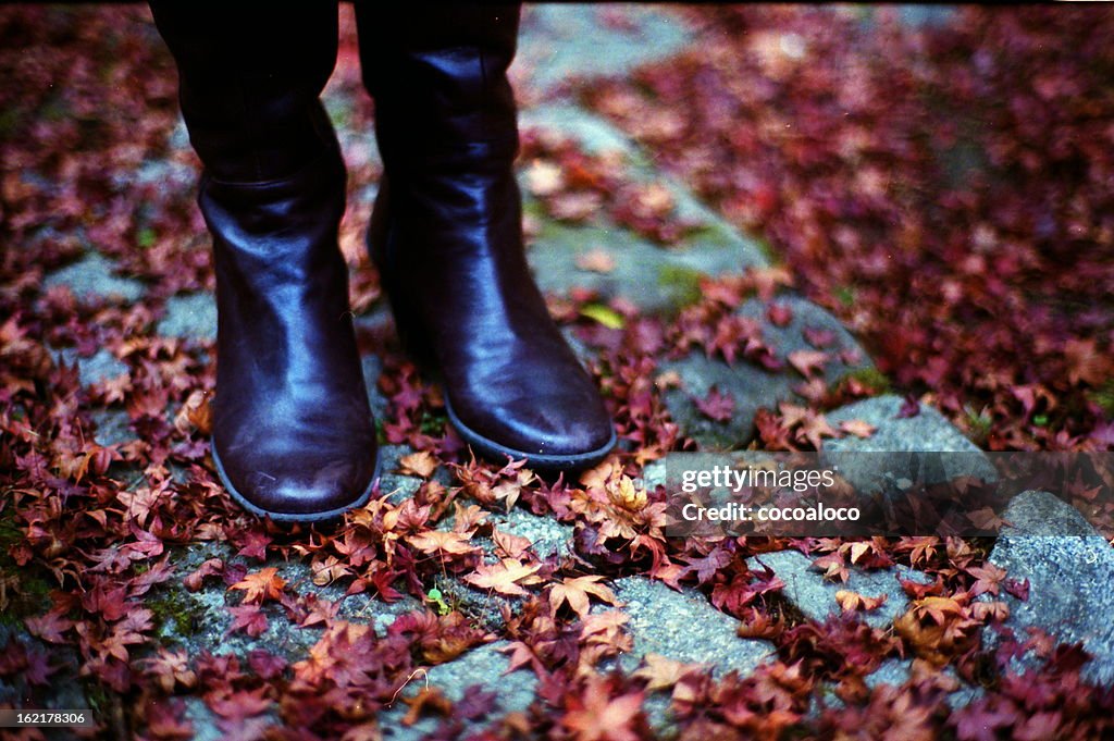 Fallen leaves and boots