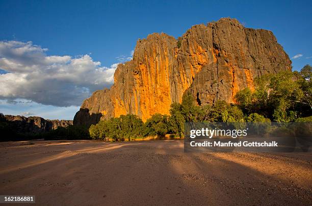 windjana gorge devonian reef - meseta de kimberley fotografías e imágenes de stock