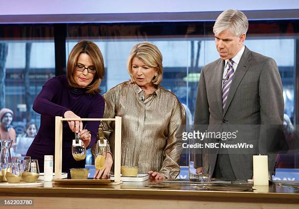 Savannah Guthrie, Martha Stewart and David Gregory appear on NBC News' "Today" show --