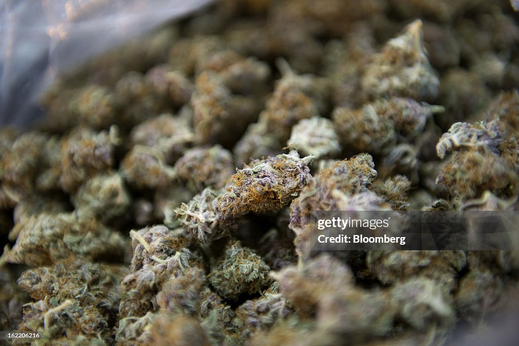 San Jose Pot Shops Use IPads to Lure Silicon Valley Techies