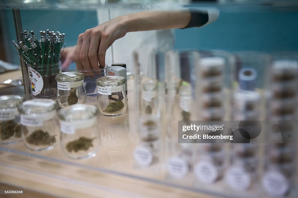 San Jose Pot Shops Use IPads to Lure Silicon Valley Techies