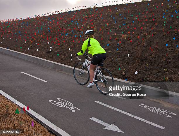 Small colored flags denote newly planted native vegetation along a Golden Gate Bridge bike path on February 13 in San Francisco, California. Some...