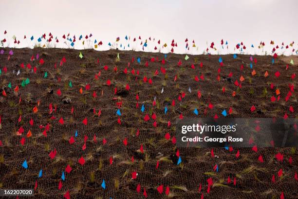 Small colored flags denote newly planted native vegetation along a Golden Gate Bridge bike path on February 13 in San Francisco, California. Some...