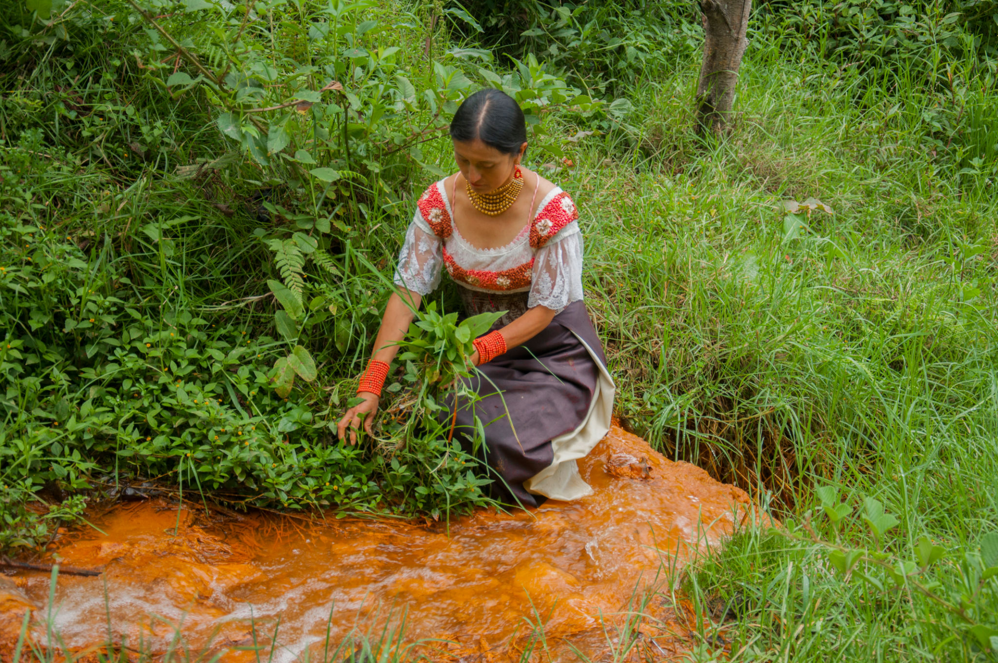 indigenous land management