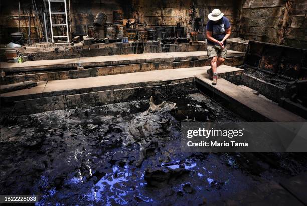 Senior fossil preparator Karin Rice walks near mammal bones protruding from pit 91 during a media tour at the La Brea Tar Pits on August 17, 2023 in...