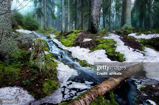 2,631 Spring Finland Stock Photos, High-Res Pictures, and Images ...