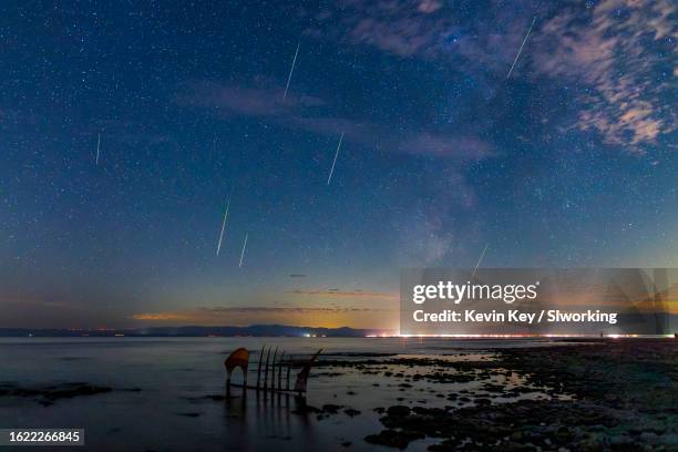 perseid meteors over the salton sea - salton sea stock pictures, royalty-free photos & images