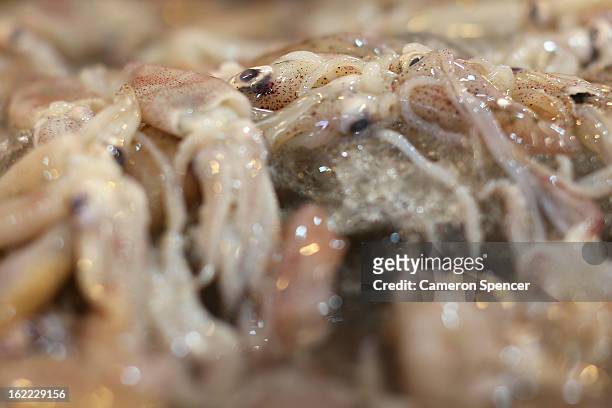 Squid is displayed for sale at the Singapore Chinatown Complex Wet Market on February 21, 2013 in Singapore. The Chinatown Complex Wet Market is a...