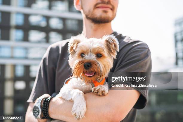 young smiling man in sunglasses with small dog yorkshire terrier against background of the city - terrier du yorkshire photos et images de collection