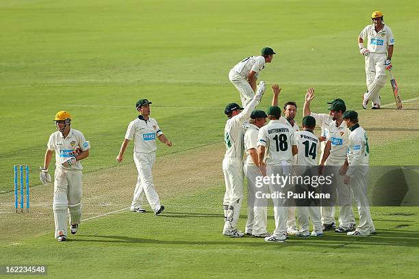 Ben Hilfenhaus of the Tigers celebrates dismissing Luke Towers of the Warriors during day one of Sheffield Shield match between the Western Australia...