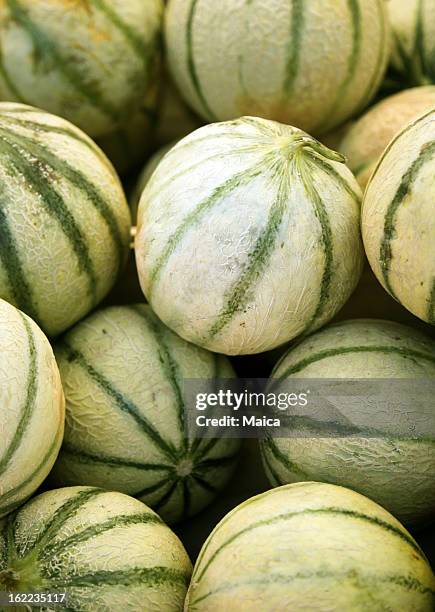 french melons - galia melon stock pictures, royalty-free photos & images