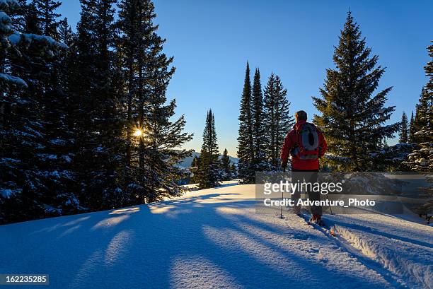 hinterland-skifahrer ski touring hoch in den bergen - vail colorado stock-fotos und bilder
