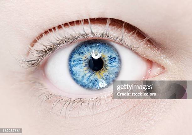 blue eye macro - blue eye close up stock pictures, royalty-free photos & images