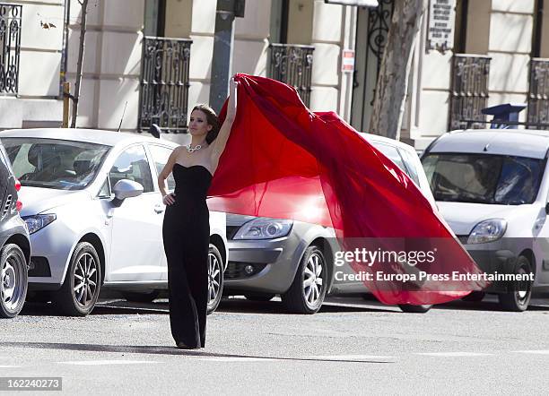 Actress Ana Fernandez poses for a photo session on February 6, 2013 in Madrid, Spain.