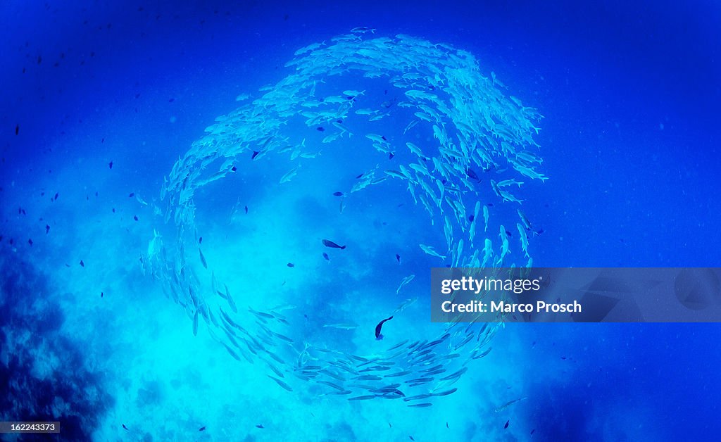 Travel Destination: Maldive Islands