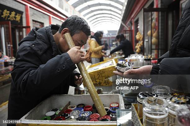 Chinese man selects a Katydid, an insect also known as bush-crickets, with a paper tube by listening to its song at a market in Beijing on February...