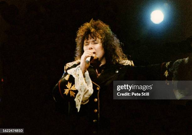 Ann Wilson of American rock band Heart performs on stage at Wembley Arena on May 10th, 1990 in London, England.