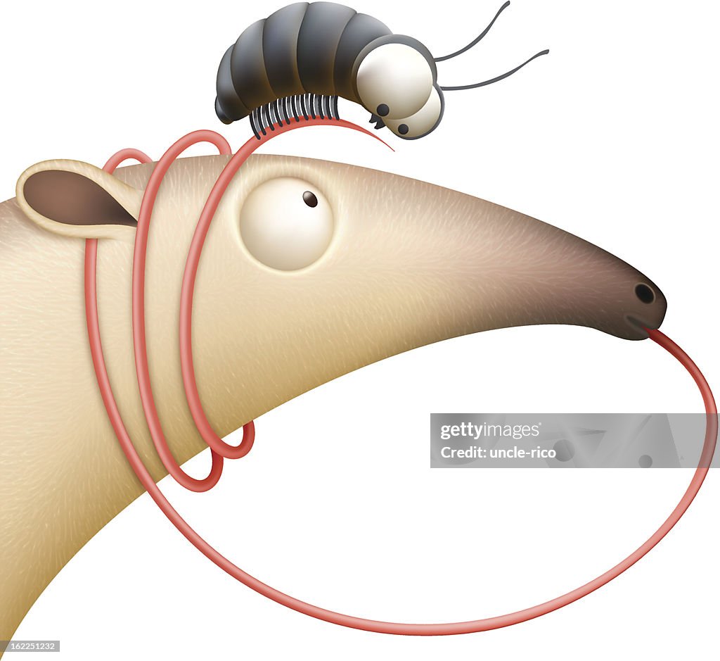 Anteater and Beetle cartoon characters