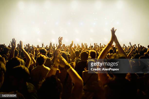 concert crowd - pop musician stock pictures, royalty-free photos & images