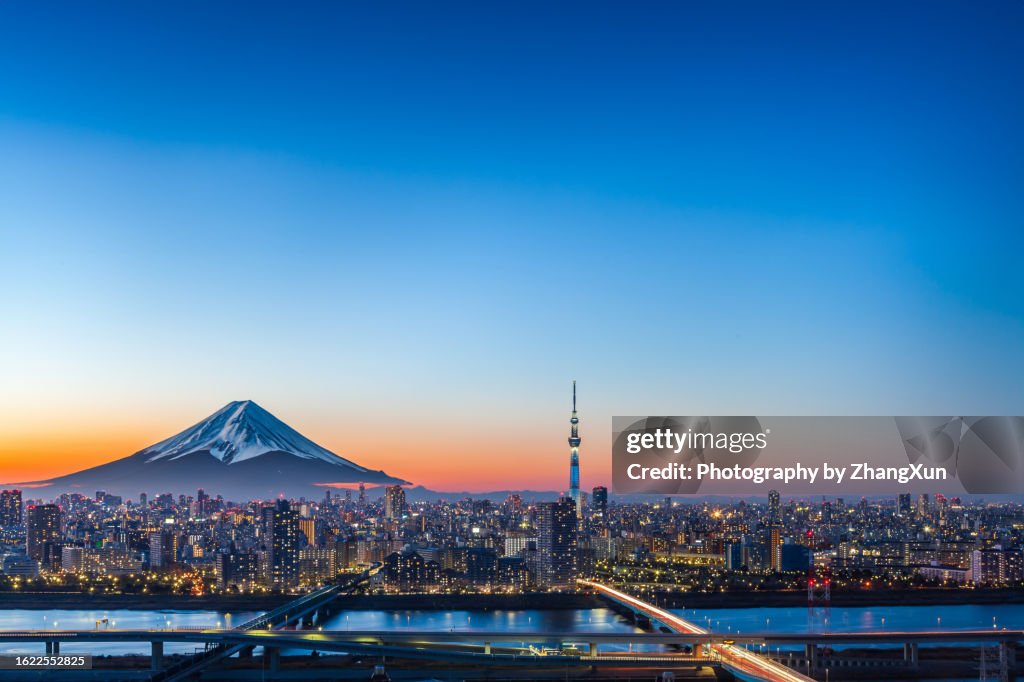 Tokyo skyline aerial view, Japan.