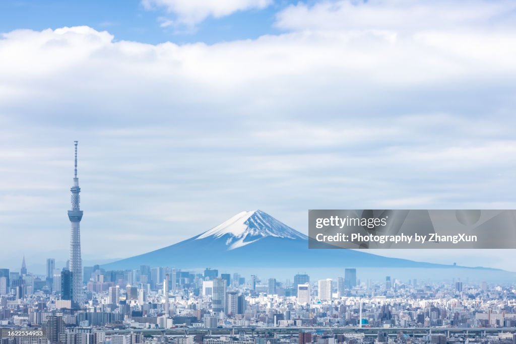 Tokyo skyline aerial view in the morning, Japan.