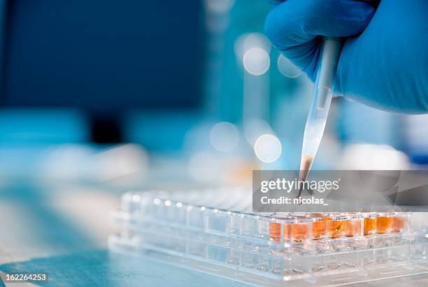 lab experiment - droppglas bildbanksfoton och bilder