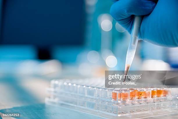 lab experiment - provrör bildbanksfoton och bilder