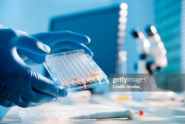 40 Plate Measuring Microscope Stock Photos, High-Res Pictures, and ...