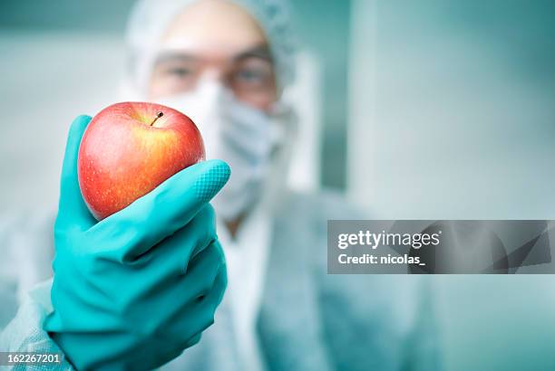 lab worker holding apple - genetically modified food stock pictures, royalty-free photos & images