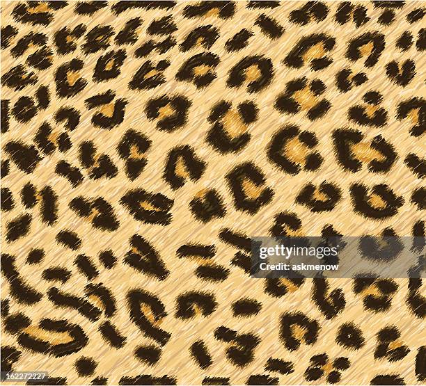 stockillustraties, clipart, cartoons en iconen met seamless leopard skin pattern - luipaardprint