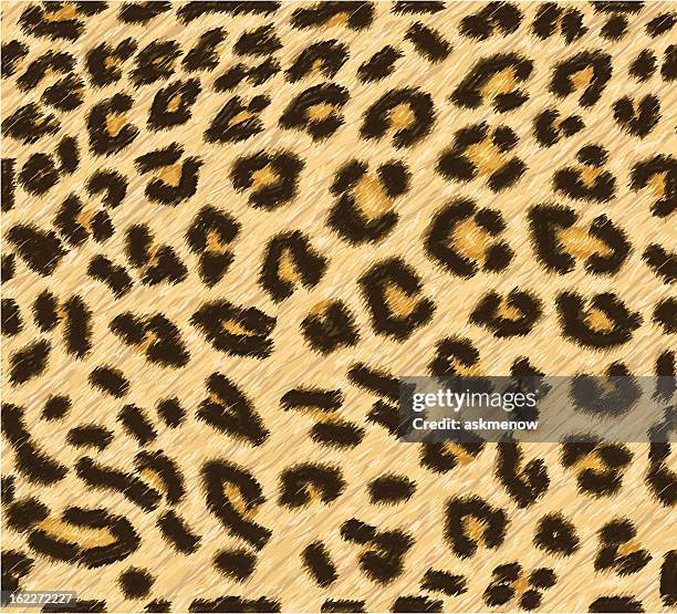 bildbanksillustrationer, clip art samt tecknat material och ikoner med seamless leopard skin pattern - otämjd katt