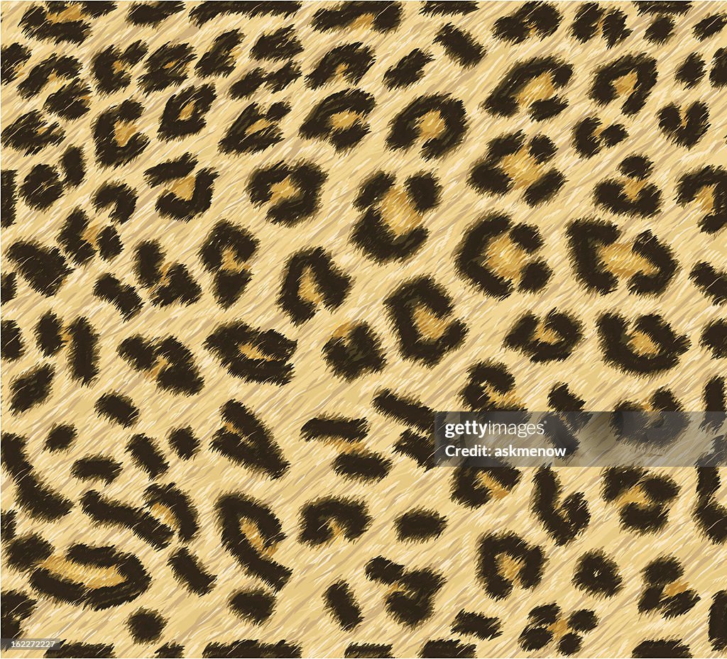 Seamless leopard skin pattern