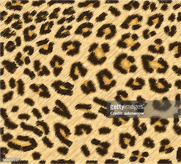 seamless leopard skin pattern - animal wildlife stock illustrations